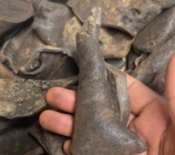 WhatsApp Image 2025 09 25 at 18 59 07 24815ecf 360x320